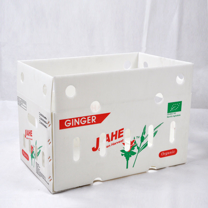 Nueva caja de plástico corrugado 2023 para frutas y verduras bajo precio