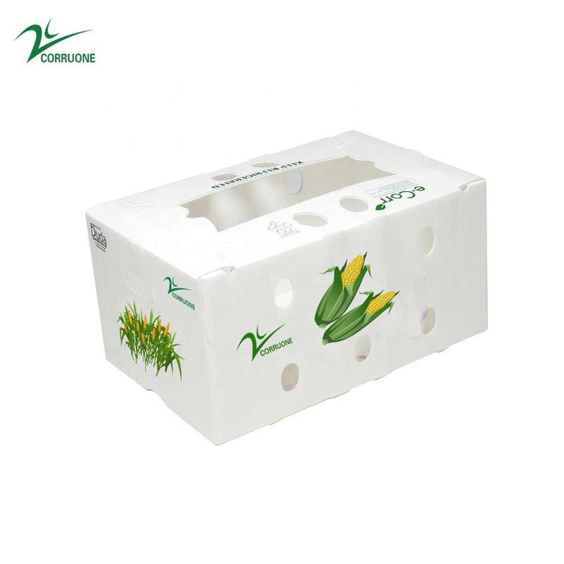Caja acanalada del panal de las cajas de almacenamiento de Corflute del bróculi para las frutas