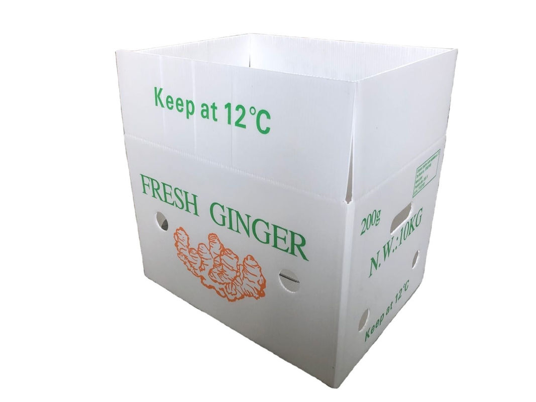 Embalaje de frutas y verduras en cartón de PP, plástico, uvas, cajas de embalaje de plástico, cajas de brócoli, papel de jengibre ondulado