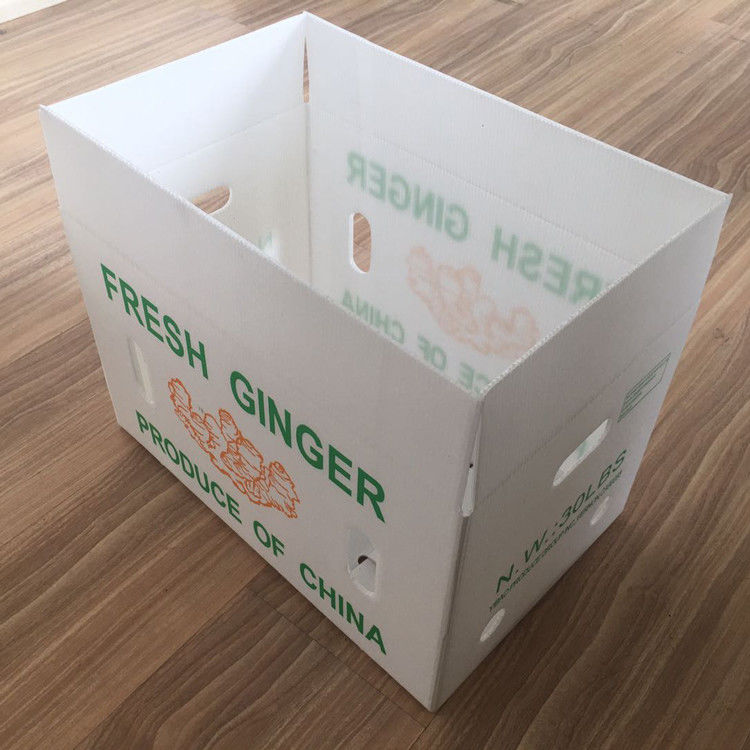 Embalaje de frutas y verduras en cartón de PP, plástico, uvas, cajas de embalaje de plástico, cajas de brócoli, papel de jengibre ondulado
