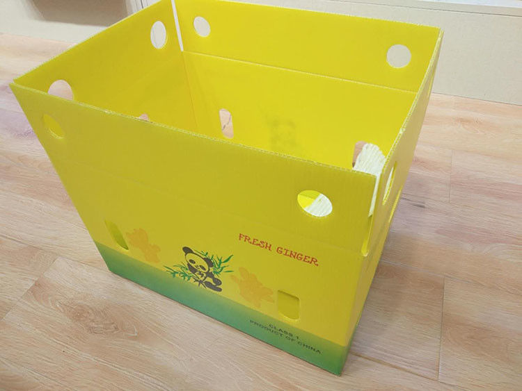 la caja acanalada Cartonplast del mango de 3.5m m acanaló las cajas para el empaquetado de la fruta