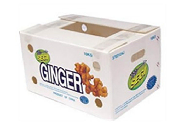 Embalaje de frutas y verduras en cartón de PP, plástico, uvas, cajas de embalaje de plástico, cajas de brócoli, papel de jengibre ondulado