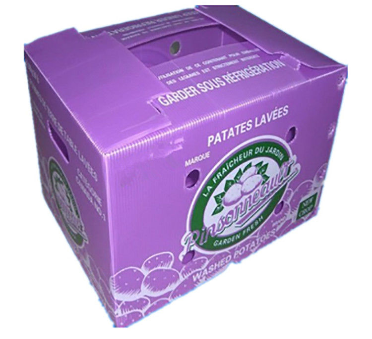 Embalaje de frutas y verduras en cartón de PP, plástico, uvas, cajas de embalaje de plástico, cajas de brócoli, papel de jengibre ondulado