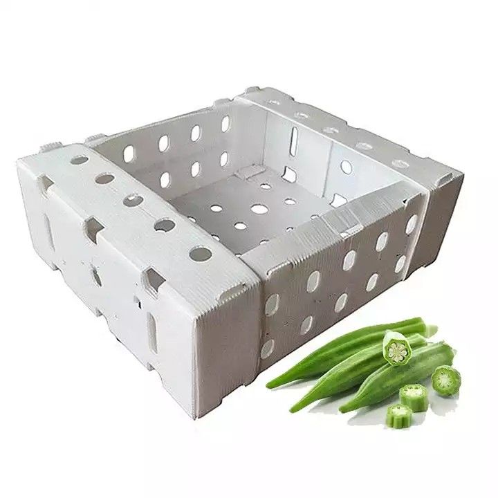 Corruone China Fabricante Material de polipropileno de PP Correx Coreflute Cajas de plástico corrugado Frutas plegables