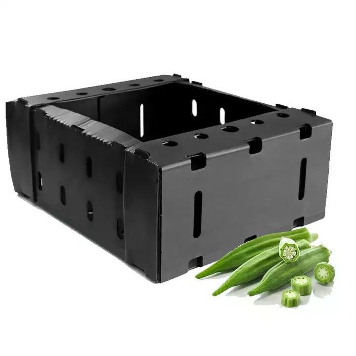 Corruone China Fabricante Material de polipropileno de PP Correx Coreflute Cajas de plástico corrugado Frutas plegables