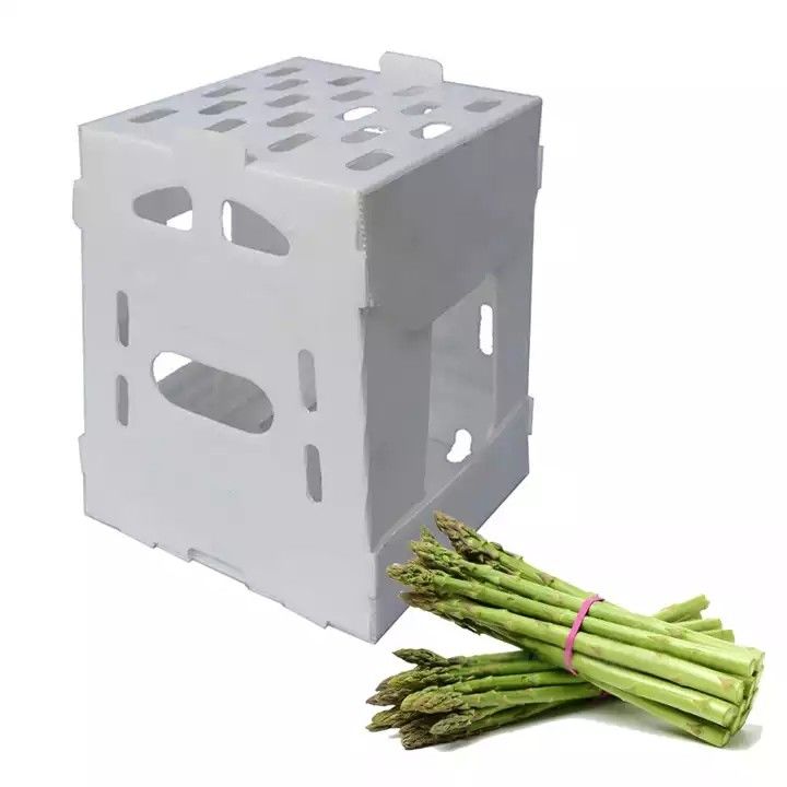Corruone China Fabricante Material de polipropileno de PP Correx Coreflute Cajas de plástico corrugado Frutas plegables