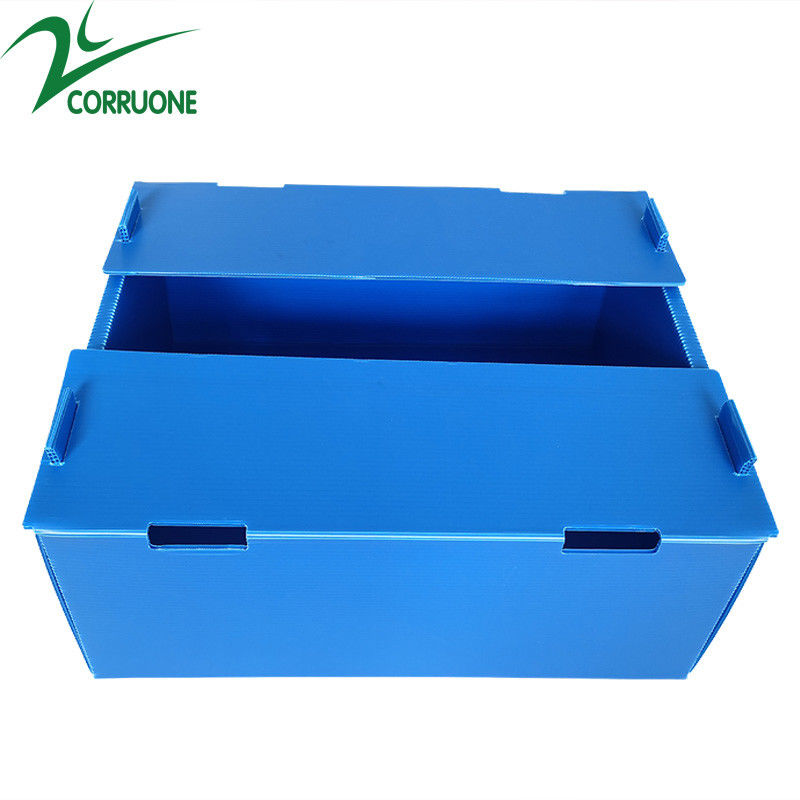 Corruone Venta caliente Hoja de polipropileno PP plegable impermeable personalizada Material de hortalizas Frutas Embalaje y envío Cajas