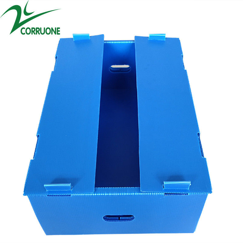 Corruone Venta caliente Hoja de polipropileno PP plegable impermeable personalizada Material de hortalizas Frutas Embalaje y envío Cajas