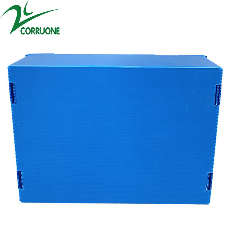 Corruone Venta caliente Hoja de polipropileno PP plegable impermeable personalizada Material de hortalizas Frutas Embalaje y envío Cajas