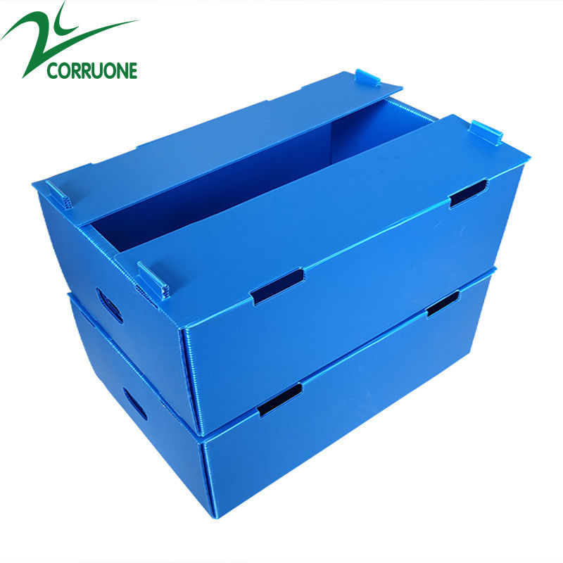 Corruone Venta caliente Hoja de polipropileno PP plegable impermeable personalizada Material de hortalizas Frutas Embalaje y envío Cajas
