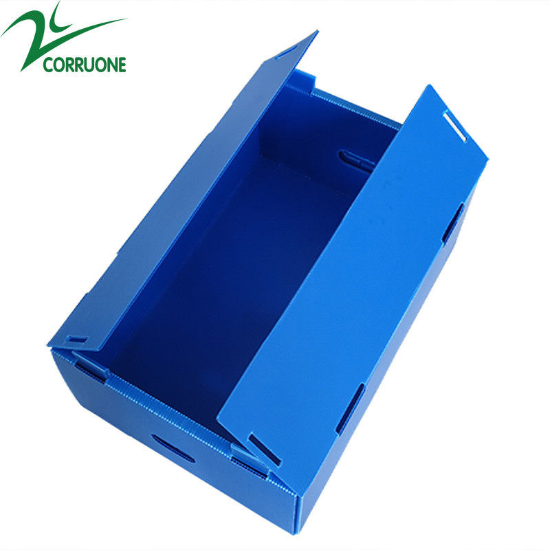 Corruone Venta caliente Hoja de polipropileno PP plegable impermeable personalizada Material de hortalizas Frutas Embalaje y envío Cajas