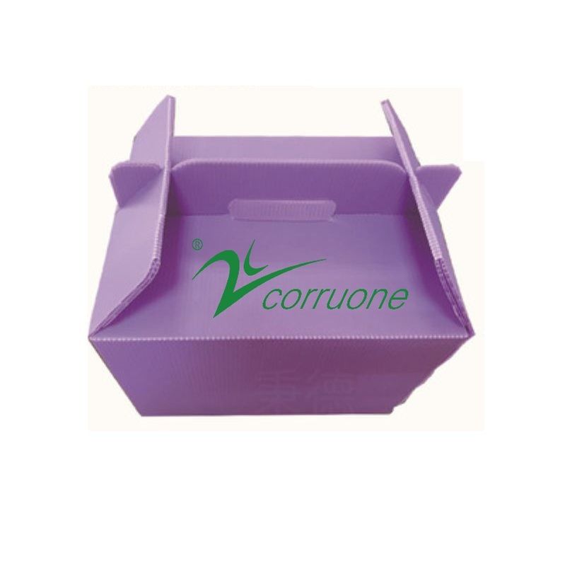 Caja plegable de polipropileno corrix de PP corruone de frutas y verduras frescas
