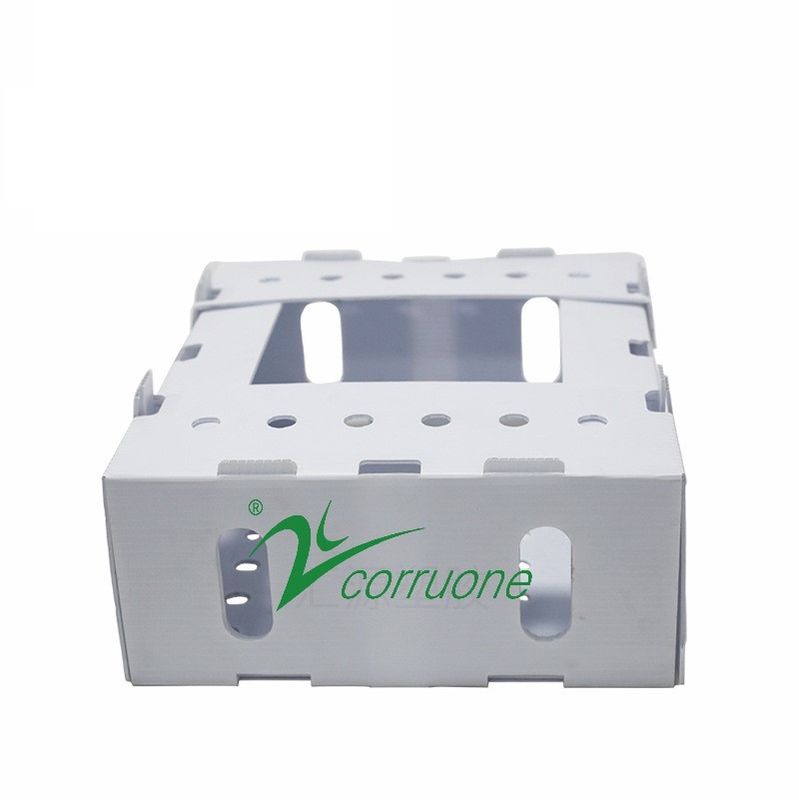 Caja plegable de polipropileno corrix de PP corruone de frutas y verduras frescas
