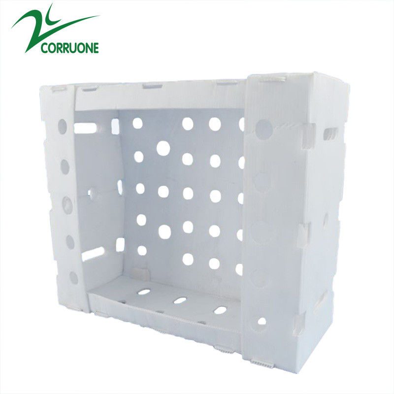 Cajas de almacenamiento azules de Coroplast de la caja de la entrega de los mariscos de Corflute PP