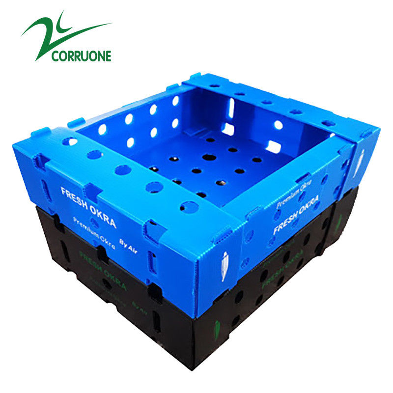 Cajas de almacenamiento azules de Coroplast de la caja de la entrega de los mariscos de Corflute PP