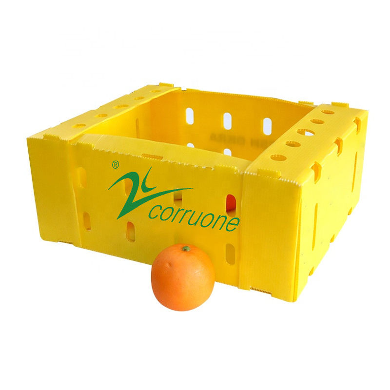 Cajas de almacenamiento azules de Coroplast de la caja de la entrega de los mariscos de Corflute PP