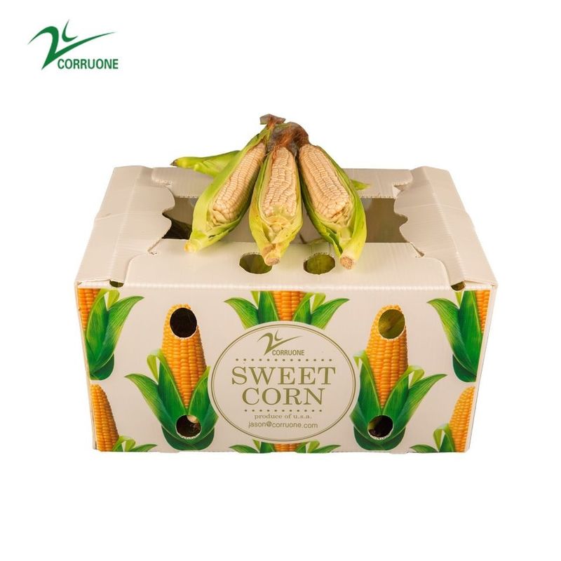 La fruta del maíz dulce acanaló las cajas de empaquetado de Correx del plátano de las cajas