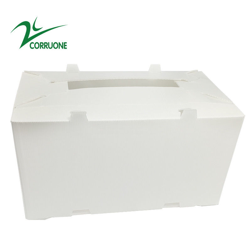 cajas plásticas acanaladas plegables huecos de Coroplast Correx del cartón de 2mm-11m m