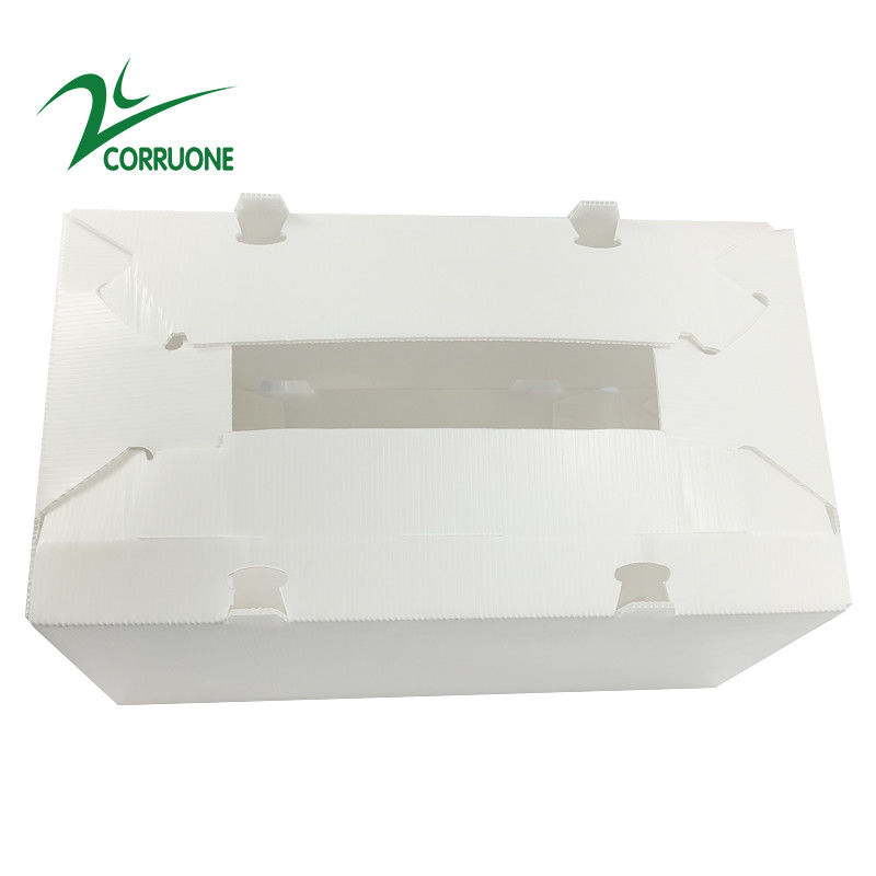 cajas plásticas acanaladas plegables huecos de Coroplast Correx del cartón de 2mm-11m m