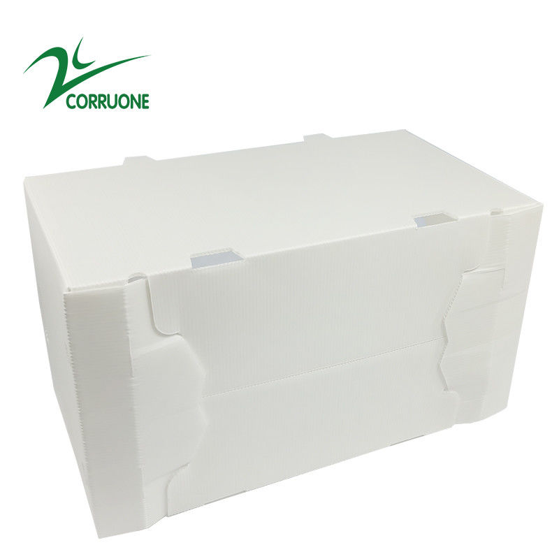 cajas plásticas acanaladas plegables huecos de Coroplast Correx del cartón de 2mm-11m m