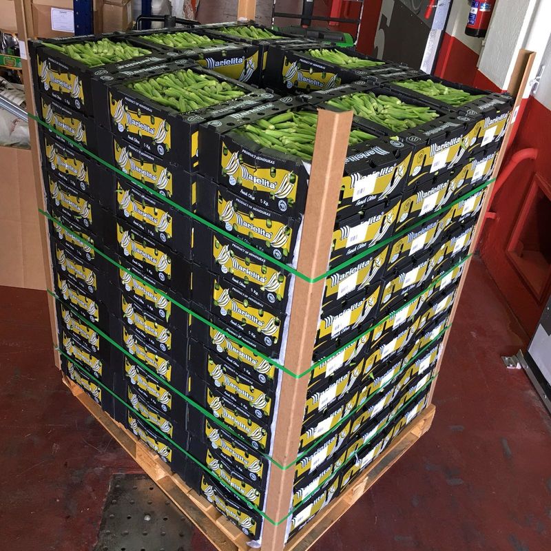 Venta al por mayor Impreso a medida Plegable Transparente de plástico Corrugado Cuadrado Embalaje de exhibición Cajas de frutas con tapas