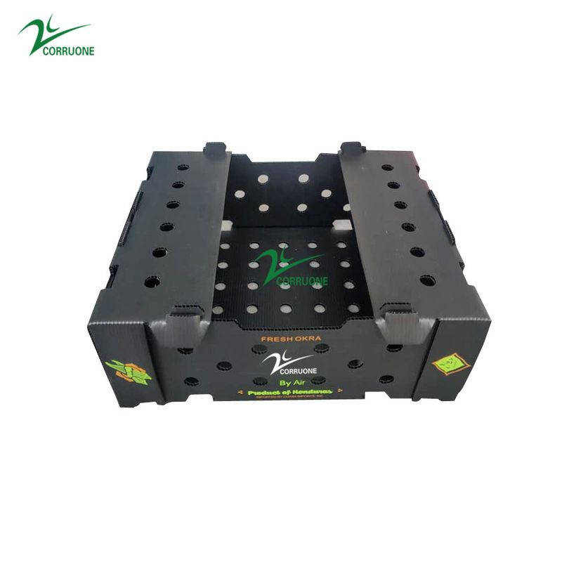 Corriflute negro da fruto las cajas acanaladas acanaló los contenedores de almacenamiento plásticos