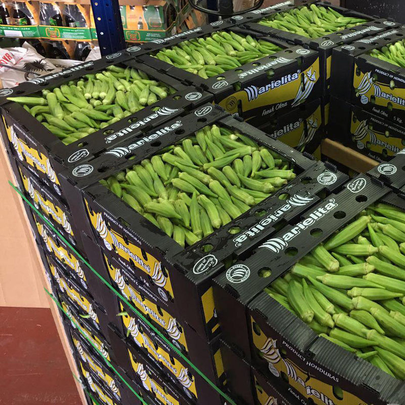 Corriflute negro da fruto las cajas acanaladas acanaló los contenedores de almacenamiento plásticos