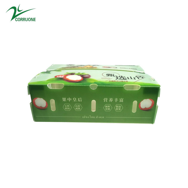 Caja de plástico corrugado de PP para hortalizas y frutas Caja de Corflute correx de maíz brócoli y agricultura Cajas de embalaje