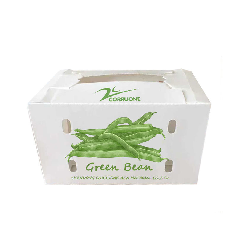 Corriflute negro da fruto las cajas acanaladas acanaló los contenedores de almacenamiento plásticos