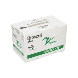 Corriflute negro da fruto las cajas acanaladas acanaló los contenedores de almacenamiento plásticos
