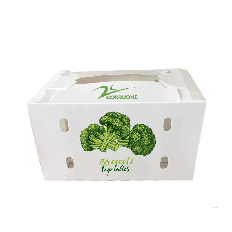 Cajas onduladas de vegetales para un almacenamiento óptimo protegen sus productos durante el envío