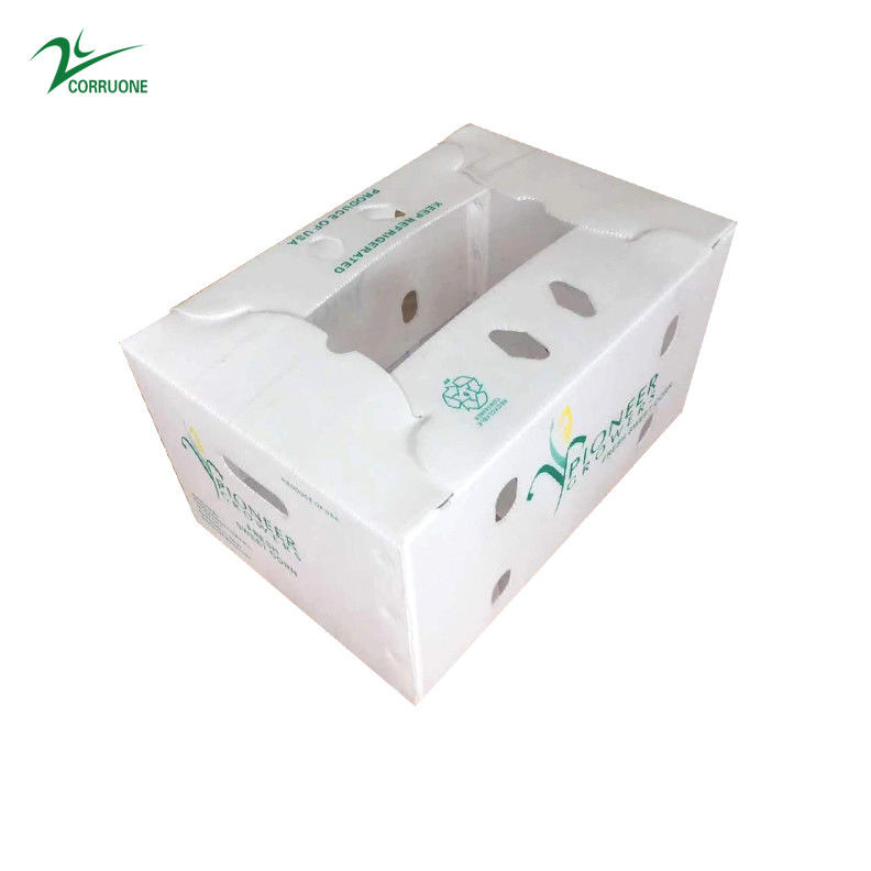 Cajas onduladas de vegetales resistentes a los rayos UV Tamaños y diseños personalizados