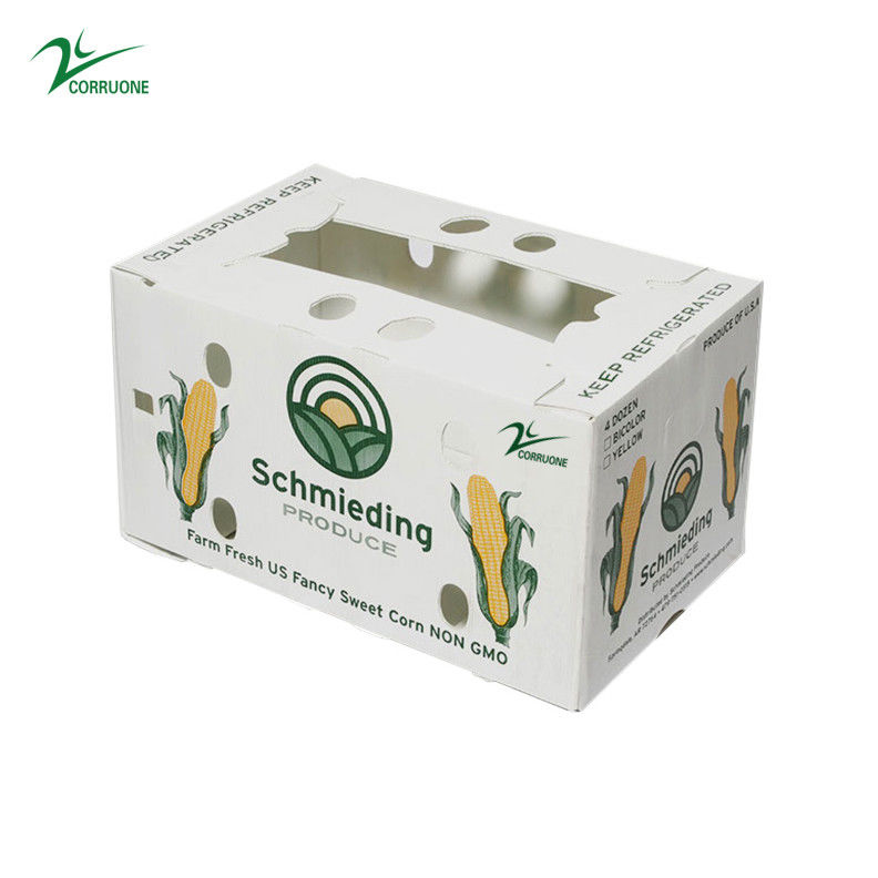 Caja de fruta de Correx Caja de plástico corrugado de PP para vegetales y agricultura Caja de embalaje