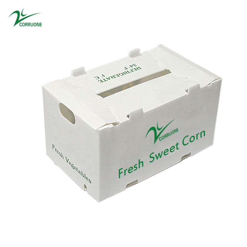 Caja de fruta de Correx Caja de plástico corrugado de PP para vegetales y agricultura Caja de embalaje