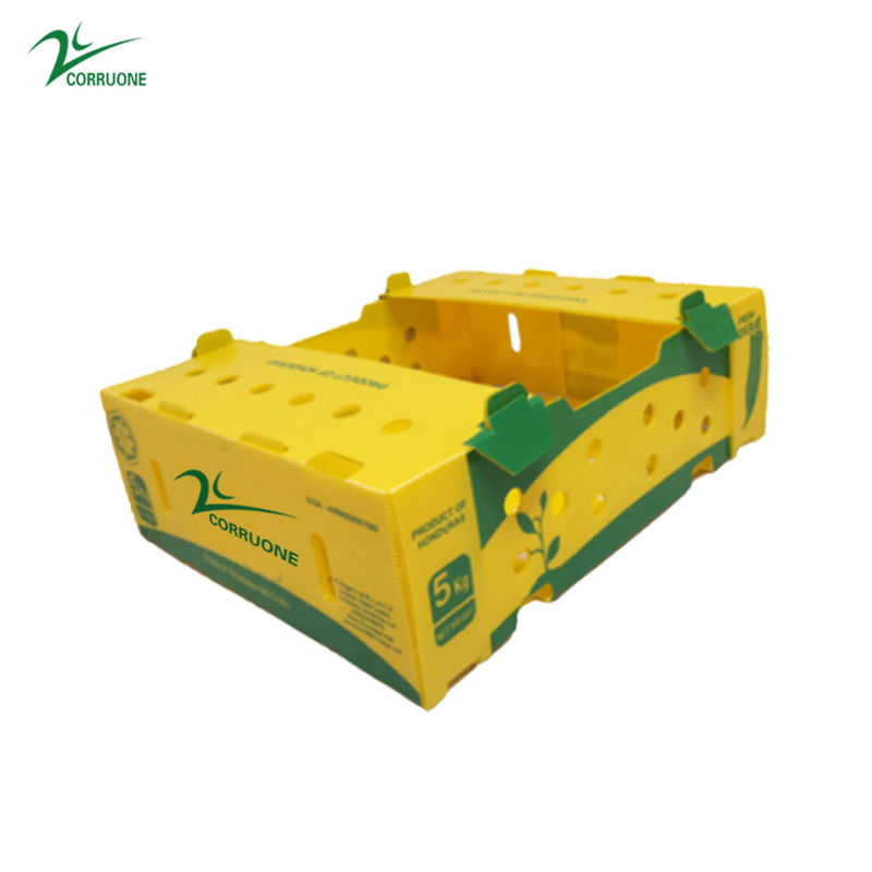 Cajas de plástico corrugado de PP ecológicas para el almacenamiento y transporte de frutas y hortalizas