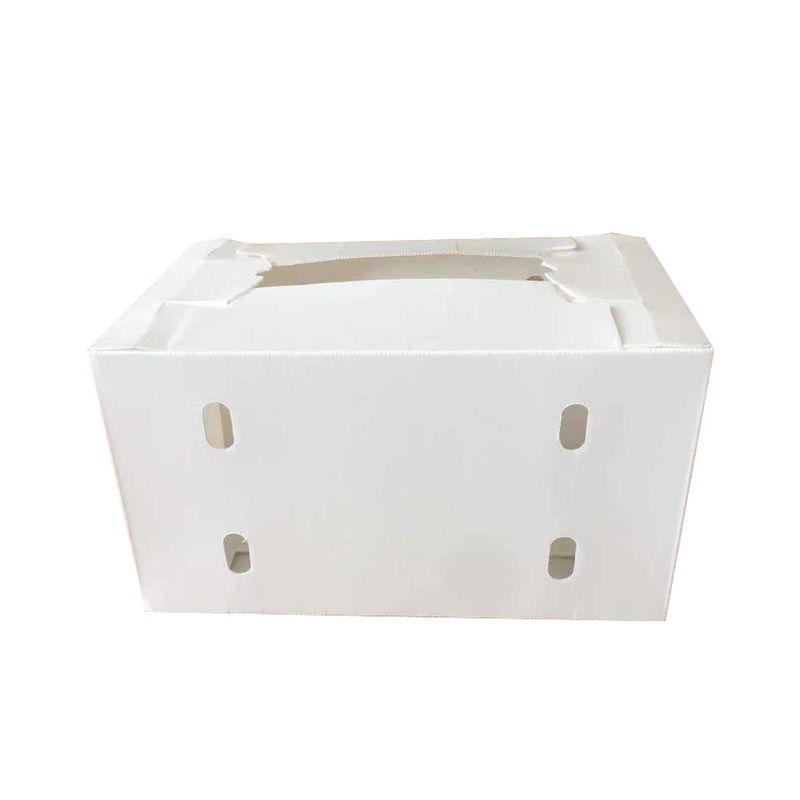 caja de almacenamiento de polipropileno correx de agua resistente plegable caja de entrega de embalaje de frutas frescas de PP