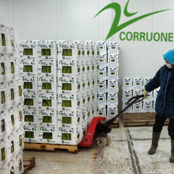 Corriflute negro da fruto las cajas acanaladas acanaló los contenedores de almacenamiento plásticos