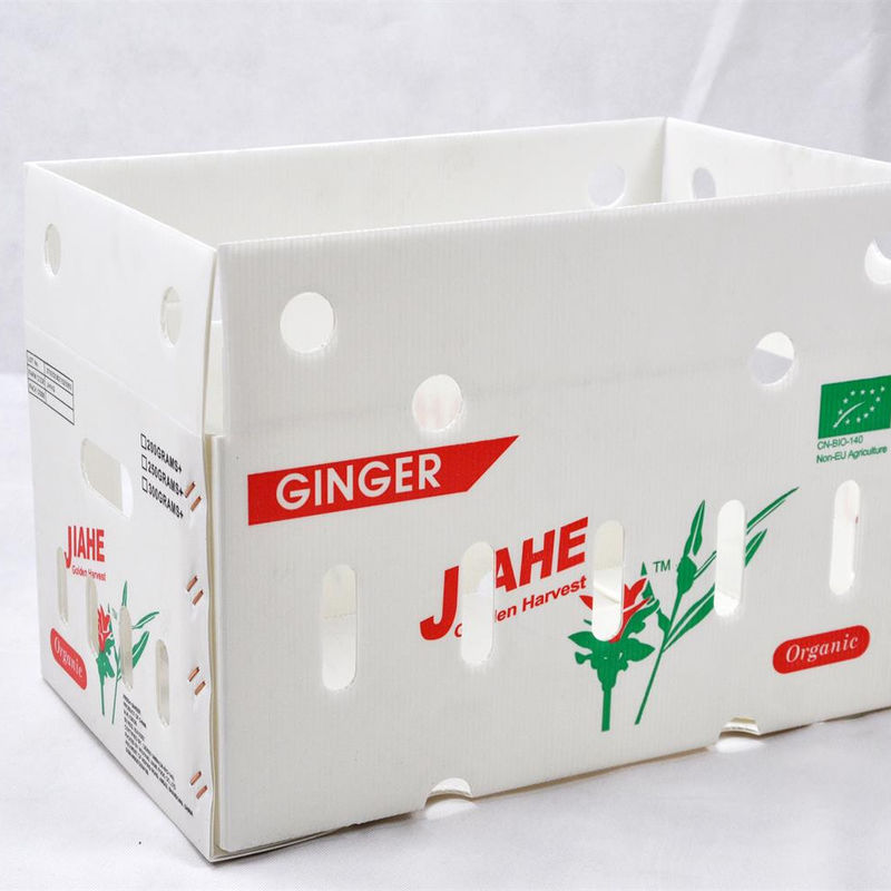 personalizamos cajas de almacenamiento de verduras y frutas de plástico plegable de color PP Correx Corflute Coroplast reciclable