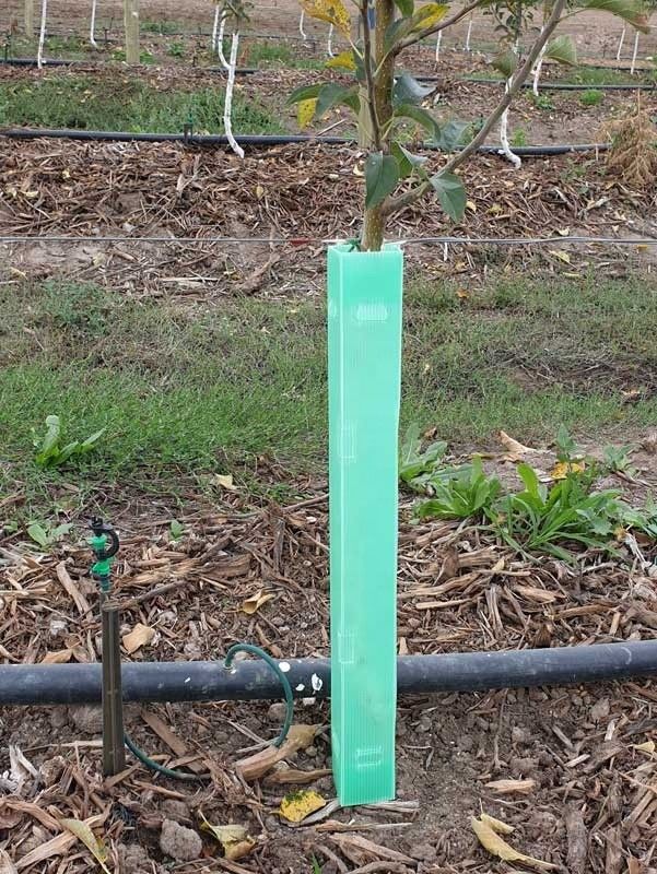 Corruone China Venta caliente Protectores de árboles de plástico corrugado de PP a prueba de agua