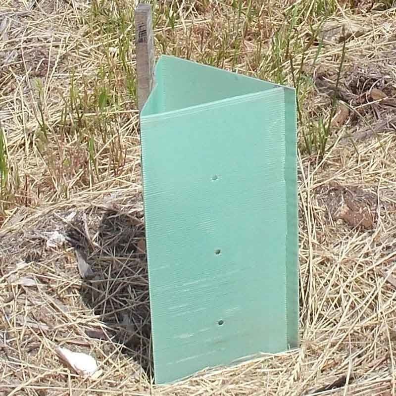 Los PP acanalaron protectores plásticos del tronco de Corflute Plastic Tree del guardia del árbol