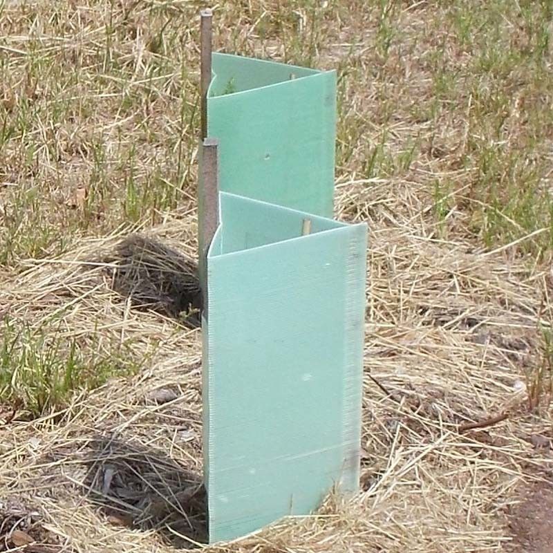 Los PP acanalaron protectores plásticos del tronco de Corflute Plastic Tree del guardia del árbol