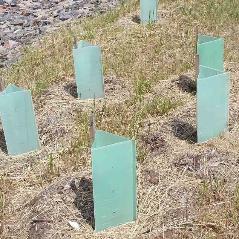 Los PP acanalaron protectores plásticos del tronco de Corflute Plastic Tree del guardia del árbol