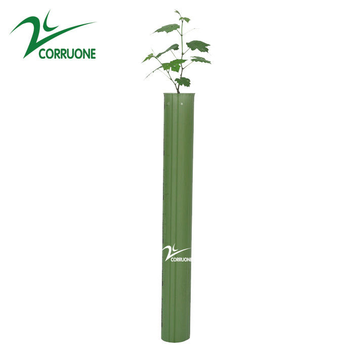 Protector de árboles de plástico corrugado personalizado hecho de material de PP para protección