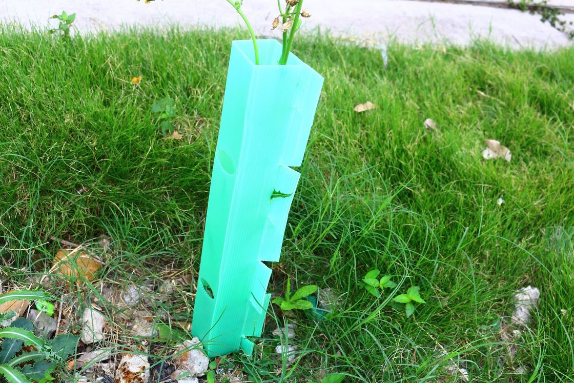 Protector de árboles de plástico corrugado personalizado hecho de material de PP para protección