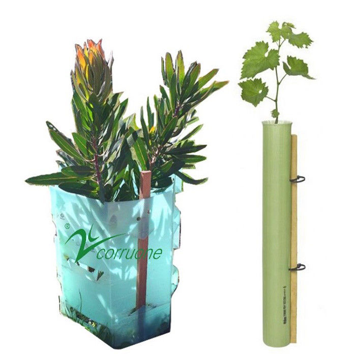 Protectores de árboles de plástico de polipropileno de corruona