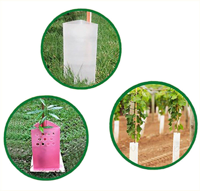 Protectores de árboles de plástico de polipropileno de corruona