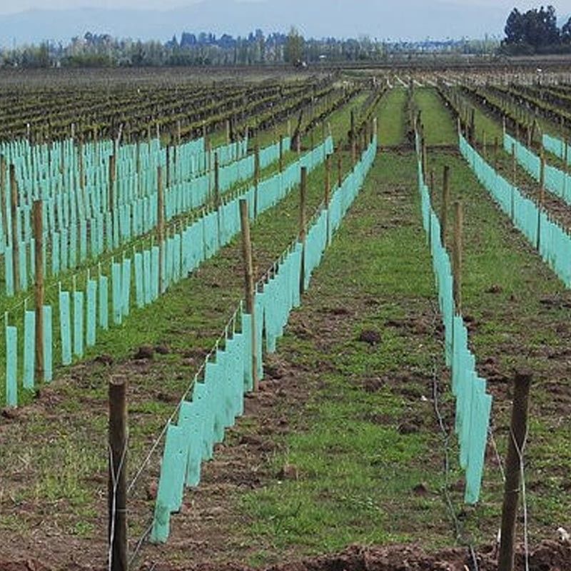 Protectores de árboles de plástico de polipropileno de corruona