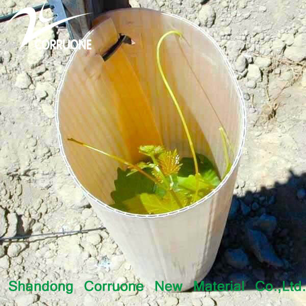 Tubo de árbol de plástico ondulado ecológico reciclable y personalizable para la plantación sostenible