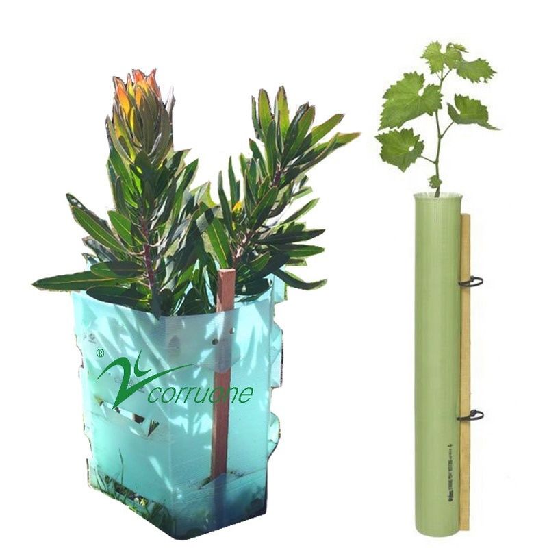 Guardias acanalados tratados ULTRAVIOLETA de la planta de los guardias 3m m PP Corflute del árbol
