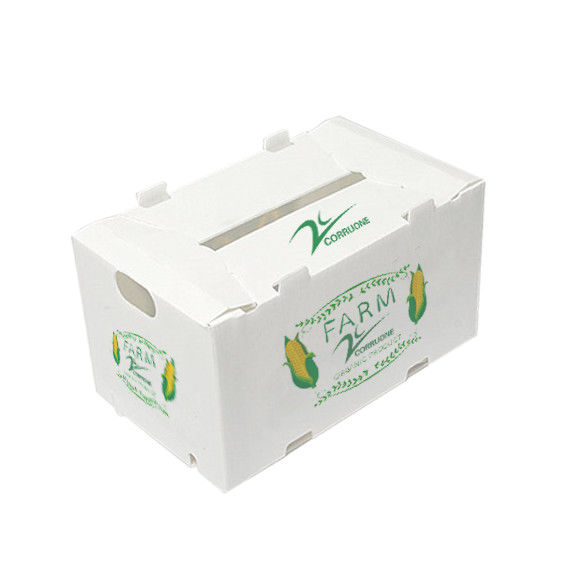 Corruone Polípropileno plegable impermeable de plástico corrugado Frutas y verduras Espargos / jengibre / taro / okra Caja de embalaje